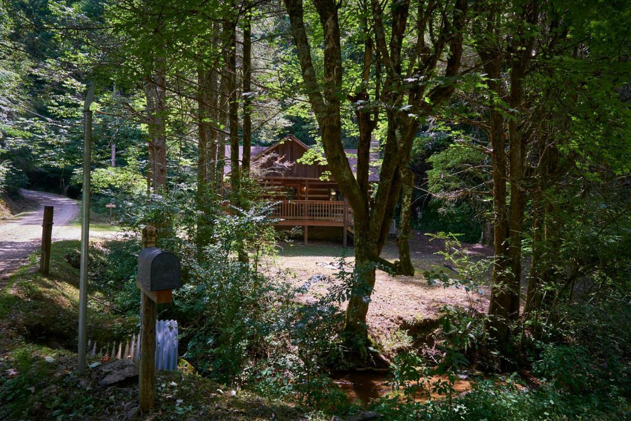 A Cabin In The Woods Pigeon Forge Exterior foto