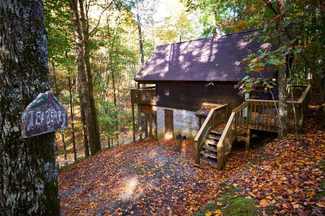 A Cabin In The Woods Pigeon Forge Exterior foto